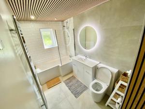 a bathroom with a toilet and a sink and a mirror at Cosy Cottage - Whitchurch, Solva in Solva