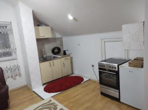eine kleine Küche mit Herd und Spüle in der Unterkunft JJ apartments in Novi Pazar