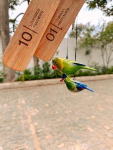 Fotografie z fotogalerie ubytování Brubru Lodge v destinaci Moshi
