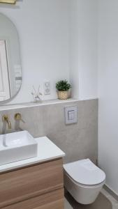 uma casa de banho com um lavatório, um WC e um espelho. em Victoire Saphir 203 climatisé hôtel de ville em Saint-Dizier