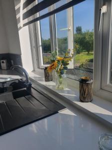 a kitchen counter with a sink and a window at The Airfield Happy Apartment 