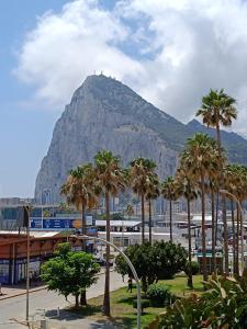 una montaña con palmeras frente a una ciudad en room private bathroom in shared apartment 50m from Gibraltar en La Línea de la Concepción