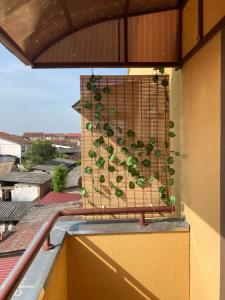 Ban công/sân hiên tại Apartman Jana Apatin