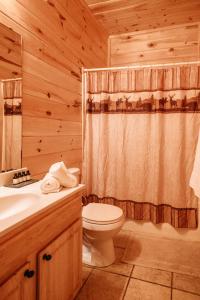 a bathroom with a toilet and a shower curtain at Expansive Mountain Views, Theater, Games, Hot Tub, Relaxing porches in Sevierville