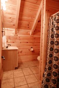 uma casa de banho com paredes de madeira e um lavatório em Expansive Mountain Views, Theater, Games, Hot Tub, Relaxing porches em Sevierville
