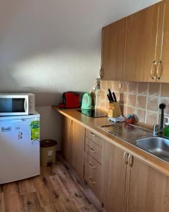 a kitchen with a white refrigerator and a sink at Apartmama Lipová in Lipova Lazne