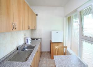 eine Küche mit einer Spüle und einer Arbeitsplatte in der Unterkunft Penzion a ubytovna Oáza in Otrokovice