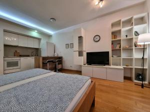 a large bedroom with a bed and a kitchen at Urban studio in Bežanija