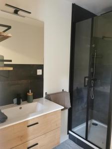 安锡Charmant appartement à 1 minute du lac的带水槽和淋浴的浴室 更多37张照片