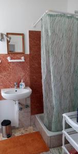 尼賴吉哈佐的住宿－Átutazó Apartman，一间带水槽和淋浴帘的浴室