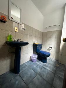 a bathroom with a blue toilet and a sink at VANILLA appartment in Ciudad Hidalgo