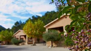 a house with a bunch of trees in front of it at Casas rurales Batan Rio Tus in Yeste