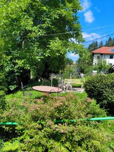 un jardín con una mesa de picnic y un parque infantil en Vila LIZ, en Predeal