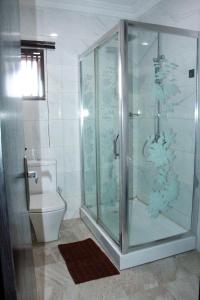 a bathroom with a shower and a toilet at MITOS LUXURY SUITES (ANNEX) in Lagos