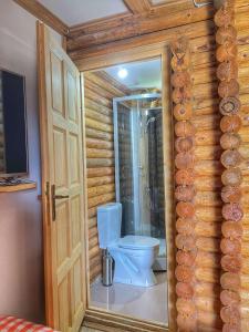 a bathroom with a toilet in a room with wooden walls at Tara Land Lake in Zaovine