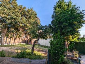 dwa drzewa na podwórku obok płotu w obiekcie Appartements avec terrasse proche métro - Paris à 25min w mieście Créteil