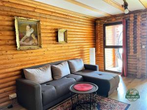 un salon avec un canapé et un tableau sur un mur en bois dans l'établissement Tara Land Lake, à Zaovine