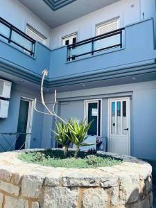 伊拉克利翁鎮的住宿－New Unique Apartment in Heraklion，蓝色的建筑,前面有盆栽植物