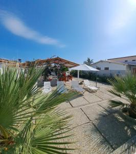 a patio with chairs and umbrellas and palm trees at Ariena in Los Órganos