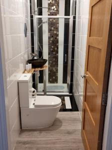 a small bathroom with a toilet and a shower at Lido Bay Ground Floor Apartment in Largs