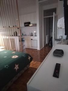 Kuchyň nebo kuchyňský kout v ubytování AIK Kula studio