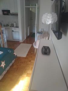 Kuchyň nebo kuchyňský kout v ubytování AIK Kula studio