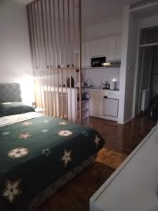 Kuchyň nebo kuchyňský kout v ubytování AIK Kula studio