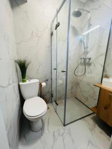 uma casa de banho com um WC e um chuveiro em Sofia Apartment & Zimmer Knittelfeld em Knittelfeld