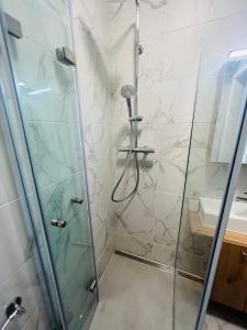 a shower with a glass door and a sink at Sofia Apartment & Zimmer Nähe Redbull Ring in Knittelfeld +22 photos