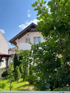 Zahrada ubytování Zanes Guest House