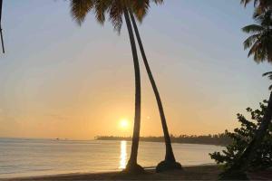 Fotografie z fotogalerie ubytování Ballenas beach C6 v destinaci Las Terrenas + 43 fotografií