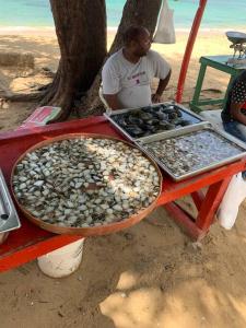 Fotografie z fotogalerie ubytování Ballenas beach C6 v destinaci Las Terrenas
