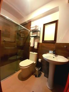 W łazience znajduje się toaleta, umywalka i prysznic. w obiekcie El SOL HOTEL - URUBAMBA w mieście Urubamba