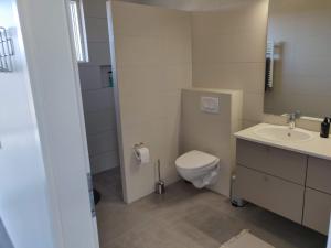 uma casa de banho com um WC e um lavatório em Mývatn apartments em Myvatn