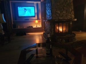 a living room with a fireplace and a television at Leśny Dworek Podjazy in Podjazdy