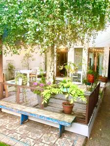 foodiejive appartement 2 في أنتويرب: طاولة نزهة تحت شجرة مع نباتات الفخار عليها