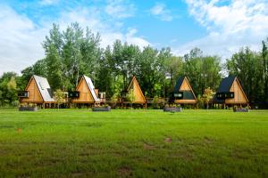 a group of houses in a field of grass at Finger Lakes Treehouse in Sodus