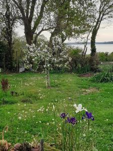 a garden with flowers in the grass and a tree at Mobilhome Vue mer et nature in Plougastel-Daoulas