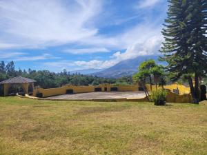une maison jaune avec une grande cour avec un arbre dans l'établissement Hacienda San Mateo, à Cotacachi