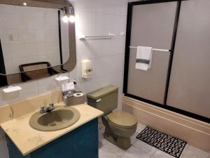 La salle de bains est pourvue d'un lavabo, de toilettes et d'un miroir. dans l'établissement Hacienda San Mateo, à Cotacachi