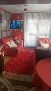 Casa em Canela RS في كانيلا: غرفة معيشة مع أريكة حمراء وسجادة حمراء