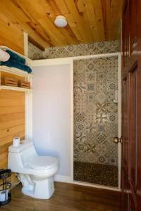 uma casa de banho com um WC e um chuveiro em Alma y Paz. Cabaña & Casa em Comitán de Domínguez