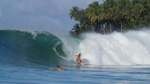 una mujer montando una ola en una tabla de surf en el océano en Jimmy Losmen Nias, en Lagudri