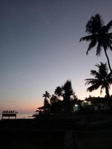 un gruppo di palme sulla spiaggia al tramonto di Jimmy Losmen Nias a Lagudri