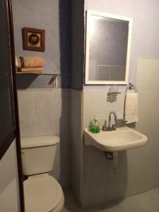 y baño con aseo, lavabo y espejo. en La Fortaleza, en Tonatico