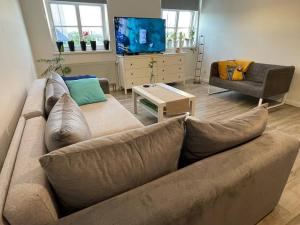 uma sala de estar com um sofá e uma televisão em Apartament 20 em Radków