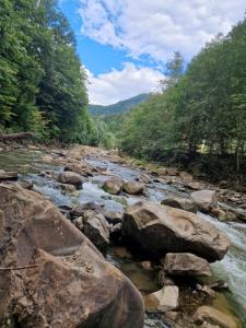 ein Fluss mit Felsen und Bäumen im Hintergrund in der Unterkunft Căsuța Dede in Buzău + 23 Fotos