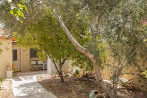 un grupo de árboles en un patio junto a una casa en Desert Pearl en Beer Sheva