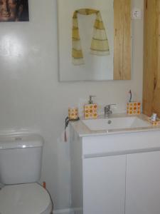 a bathroom with a toilet and a sink at Casa Do Pinheiral in Ponte da Barca