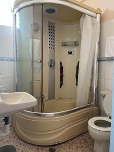 a bathroom with a shower and a toilet and a sink at CHINA STAR HOTEL in Kolonia
